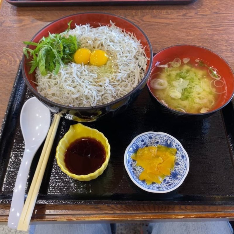 しらす丼大盛り(道の駅　潮見坂 )