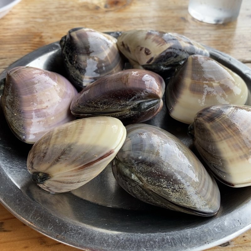 ハマグリ(浜茶屋網元 )