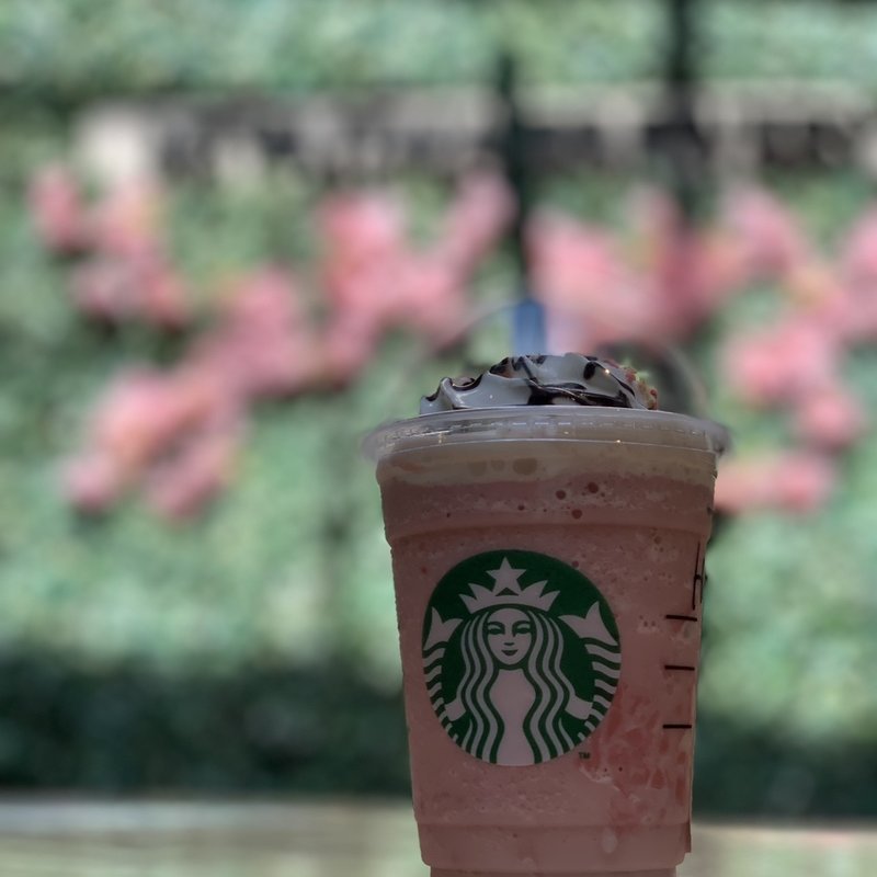 さくら咲いたベリーフラペチーノ(スターバックス厳島表参道店)