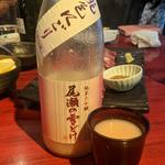 尾瀬の雪どけ