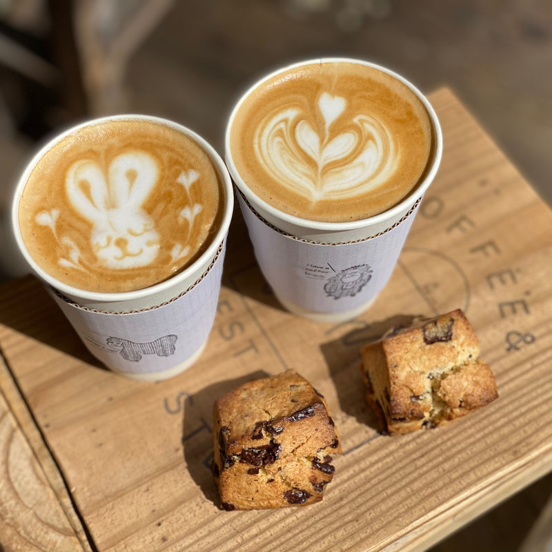 デザインカプチーノ（HOT シングル）(imm coffee & roastery)