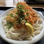 肉天ぶっかけうどん(自家製特粉うどん そのさき本店)