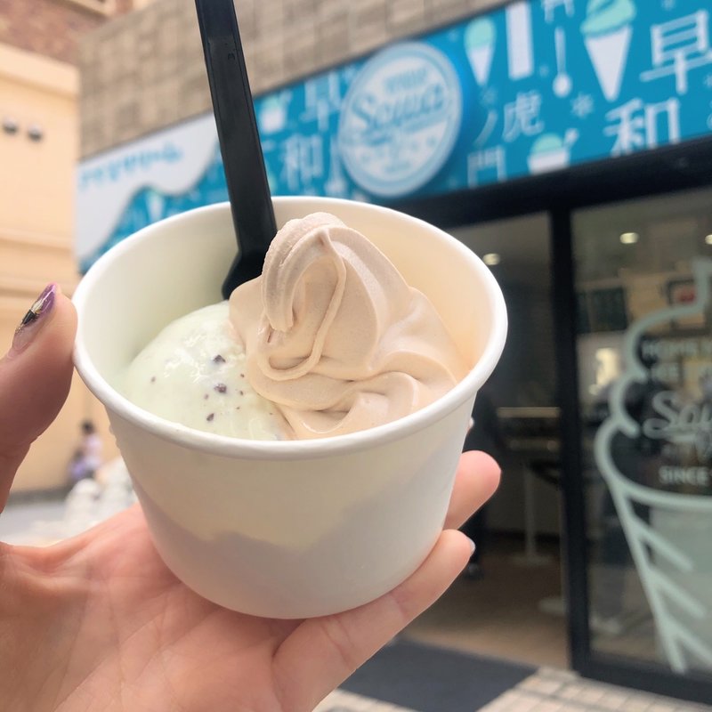 アイスソフト（シナモンソフトクリーム・チョコミントアイス）(ソーワ （SOWA）)