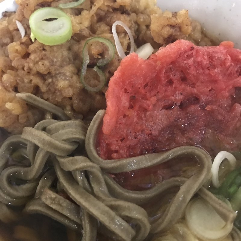 太蕎麦、ジャンボゲソ天、紅生姜天(一由そば )