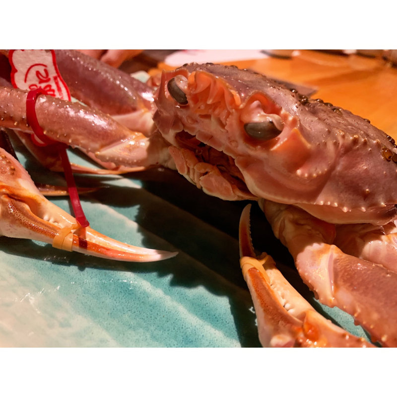 かに(たけつら 四季素材 )