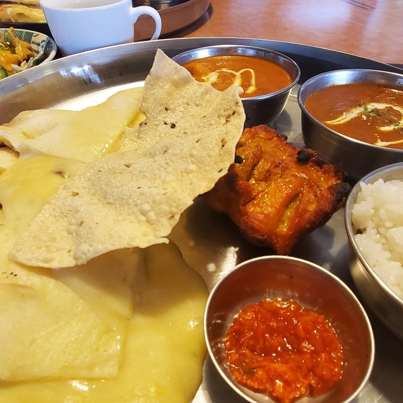 レディースセット(ニューサティ )