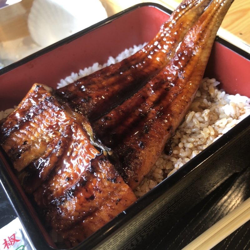 うな重 上(活け！活け！魚～魚～（イケ！イケ！Gyo～Gyo～）)