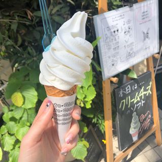 ジェラートソフト クリームチーズ(ジェラテリアアクオリーナ （GELATERIA ACQUOLINA）)