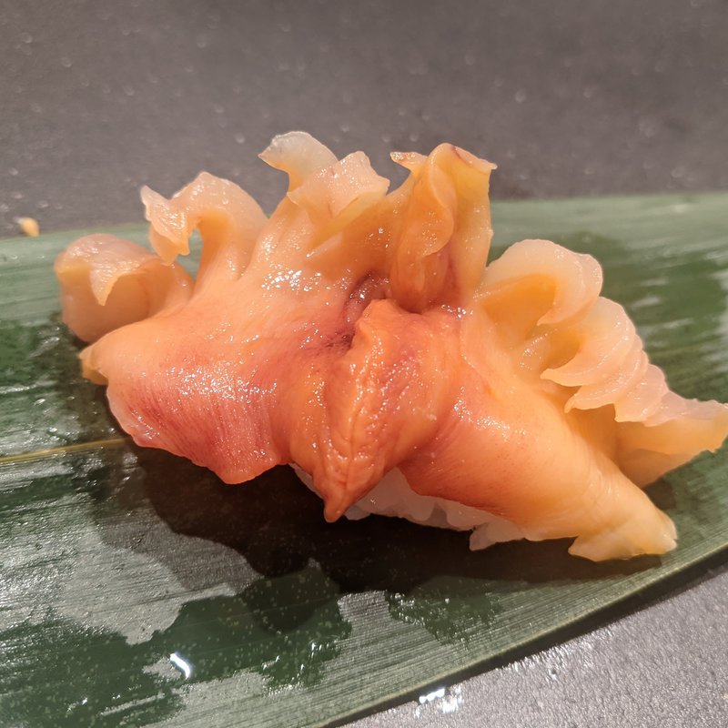 アカ貝(寿司さいしょ)