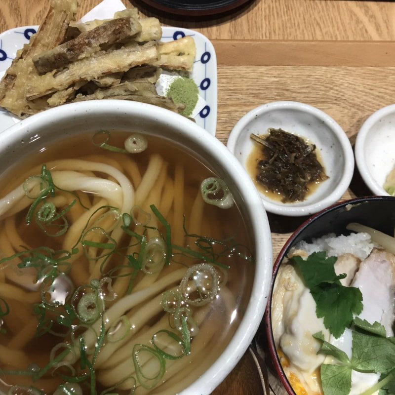ゴボ天うどんミニカツ丼セット(星のうどん 庵)