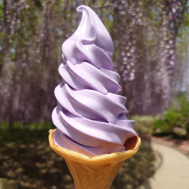 藤ソフト(あしかがフラワーパーク)