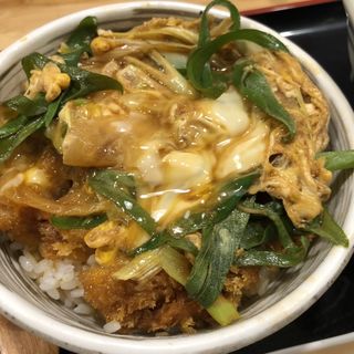 ヒレカツ丼定食(自家製おうどん 三拍子)