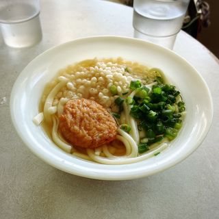 かけうどん やぶ金 桜島フェリー店 の口コミ一覧 おいしい一皿が集まるグルメコミュニティサービス Sarah