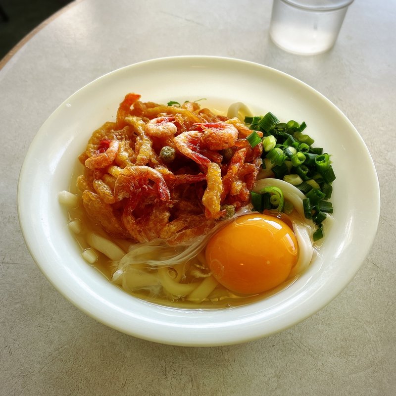 天玉うどん(やぶ金 桜島フェリー店 )
