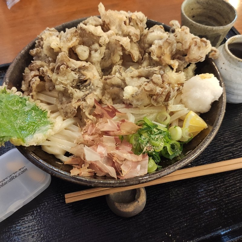 舞天うどん(亀楽屋 )