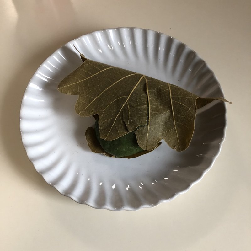 柏餅　つぶ(菓匠　雅庵)