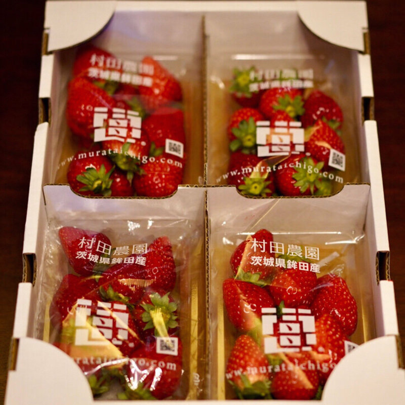 村田さん家のいちごパック（特選 大、4パック）(村田農園)