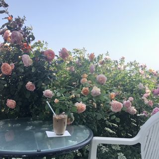 アイスカフェラテ(English Garden Rose Cafe)