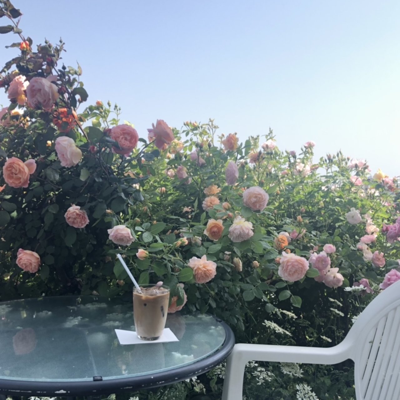 アイスカフェラテ イングリッシュガーデン ローズカフェ English Garden Rose Cafe の口コミ一覧 おいしい一皿が集まるグルメコミュニティサービス Sarah