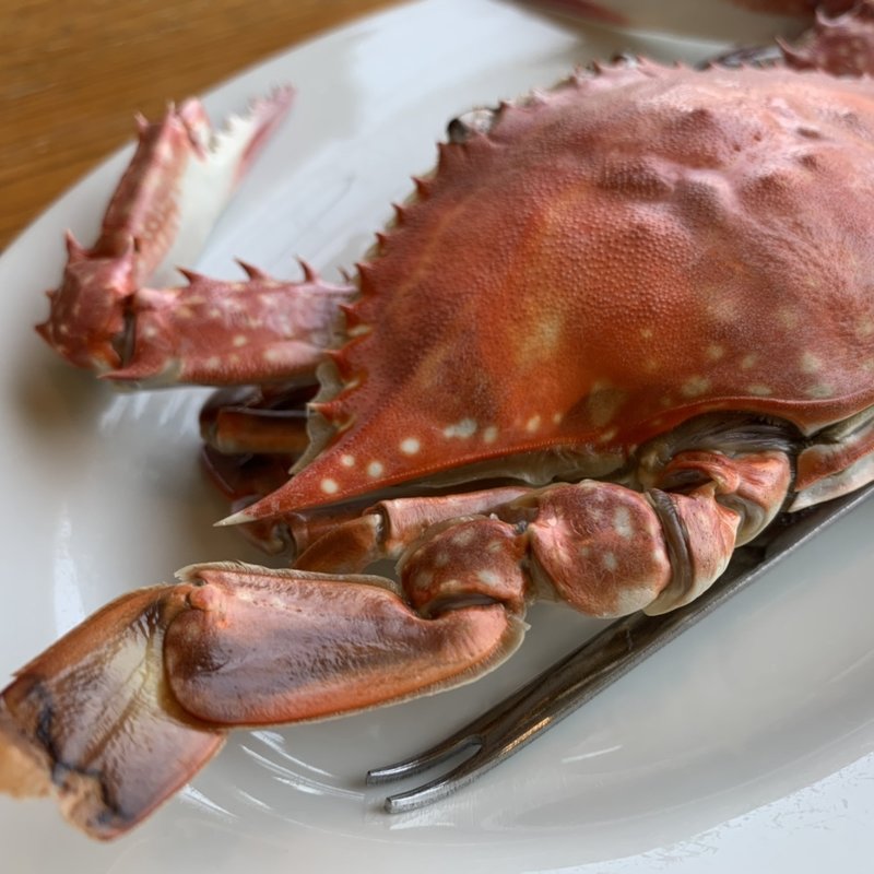 花咲ガニ(お食事処 海望)
