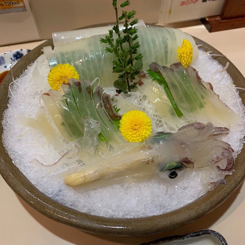 ヤリイカ活造り(わたるべ)