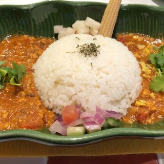 チキンキーマと瀬戸内レモンスプラッシュ　2種あいがけ(スパイスカレー43 （Spice curry 43）)