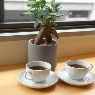 アフターコーヒー(cafe ginkgo(カフェ・ジャンコ))