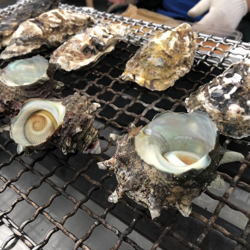 サザエ(糸島牡蠣小屋ひろちゃんカキ)