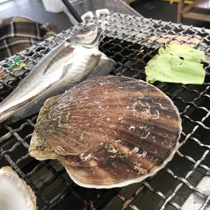 ひおうぎ貝(糸島牡蠣小屋ひろちゃんカキ)