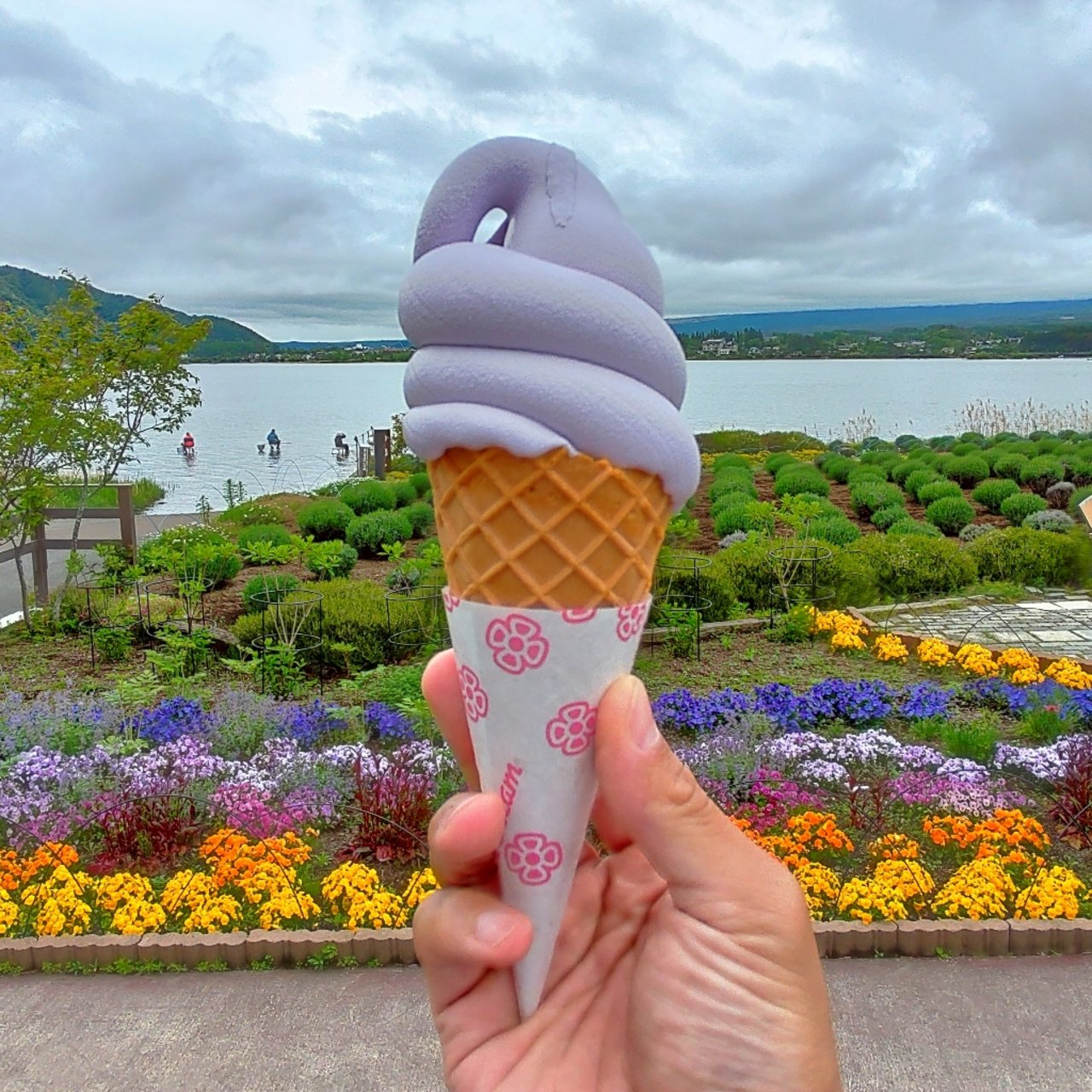 南都留郡富士河口湖町で食べられる人気ソフトクリームランキング Sarah サラ