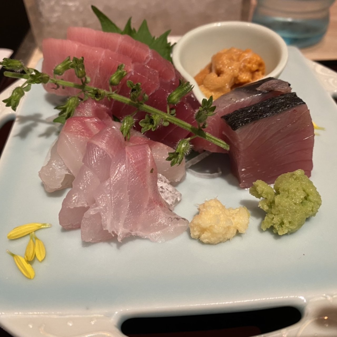 港区で食べられるお造りランキング Sarah サラ