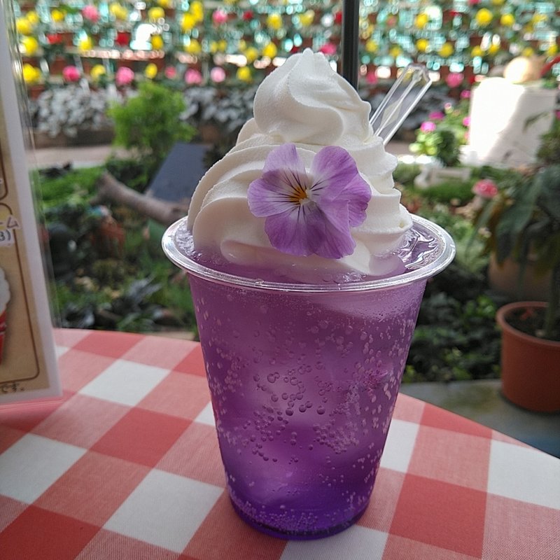 フラワーフロート　バイオレット(花と泉の公園 ベゴニア館 喫茶コーナー)