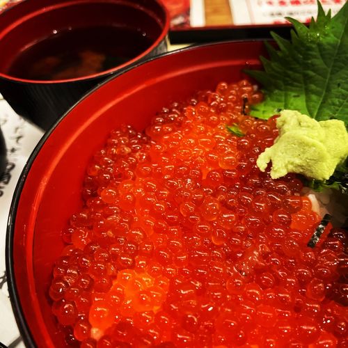 いくら丼 ニチレイフレッシュ いくら丼用味付けいくら 60g | WEB限定