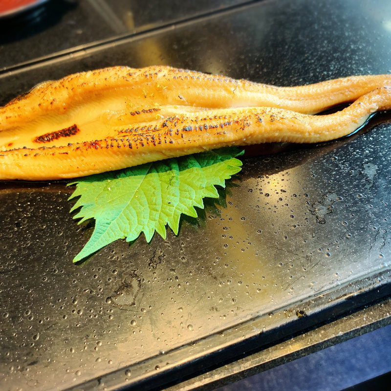 一太郎の一本穴子(対馬産)(回転寿司 一太郎)