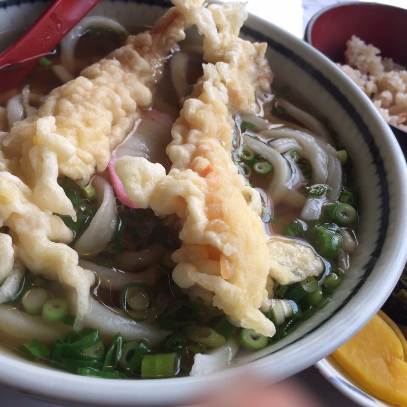 天ぷらうどん(手打ちうどん専門店 加登多 )