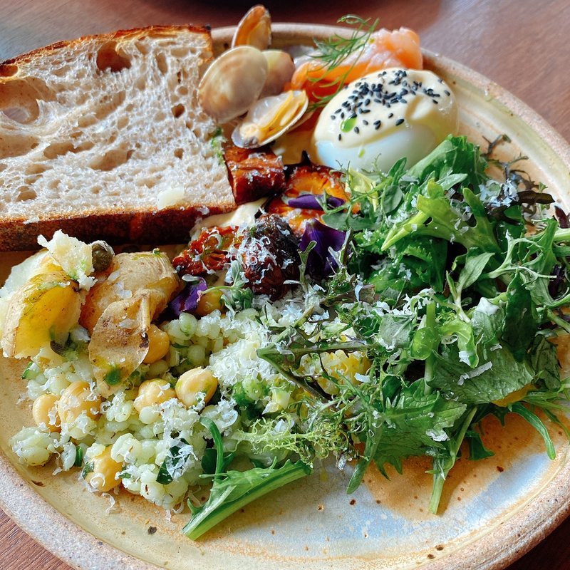 サーモン　プレート(Echoes)