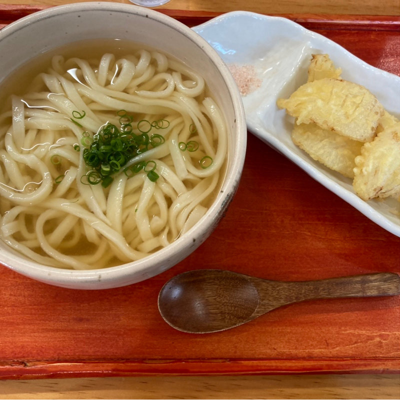 かけうどんに玉ねぎ天トッピング(花とうどん 花籠（はなかご）)