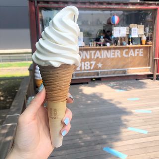 北海道直送生乳ソフトクリーム クリスピーメープルコーン(container cafe 2187 コンテナカフェ2187)