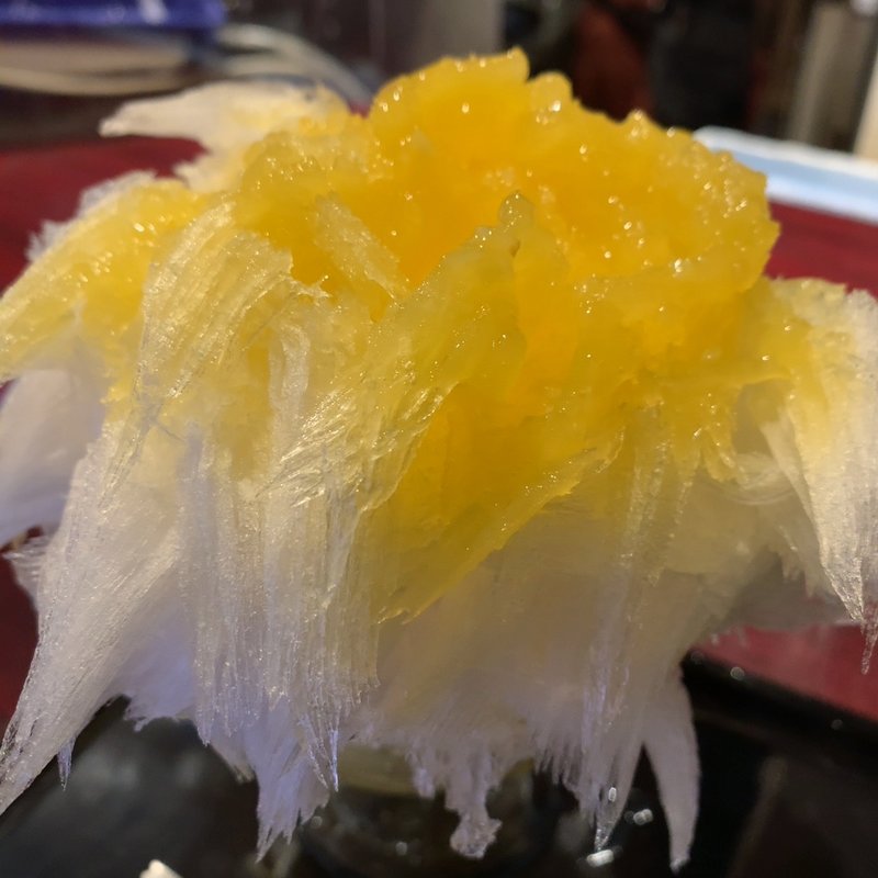 マンゴーレモン(四代目大野屋氷室)