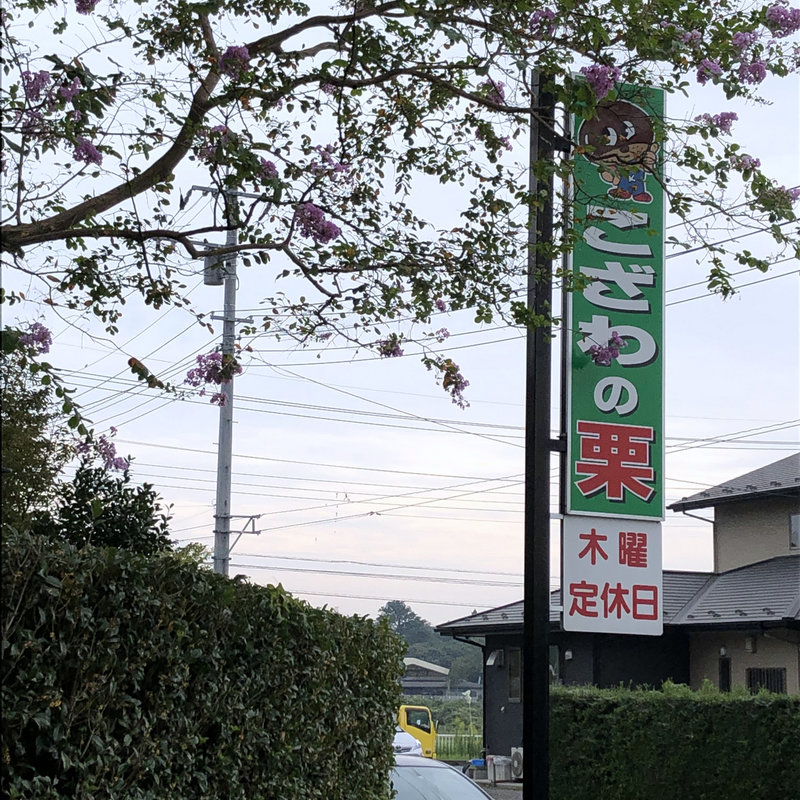 店舗外観(小沢栗園)