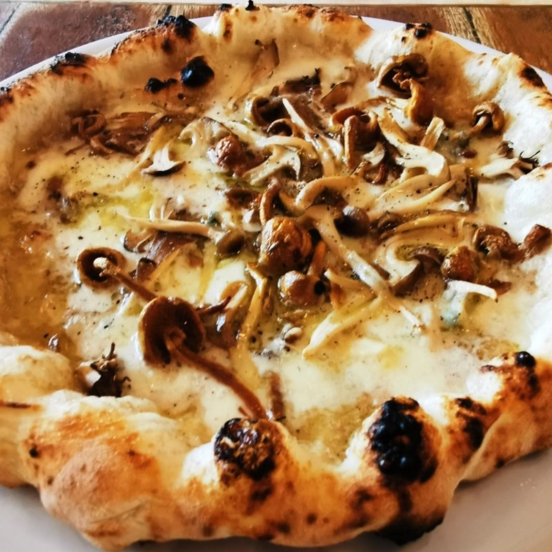 シイタケソース 色々きのこ(SAVOY 麻布十番店 （サヴォイ）)