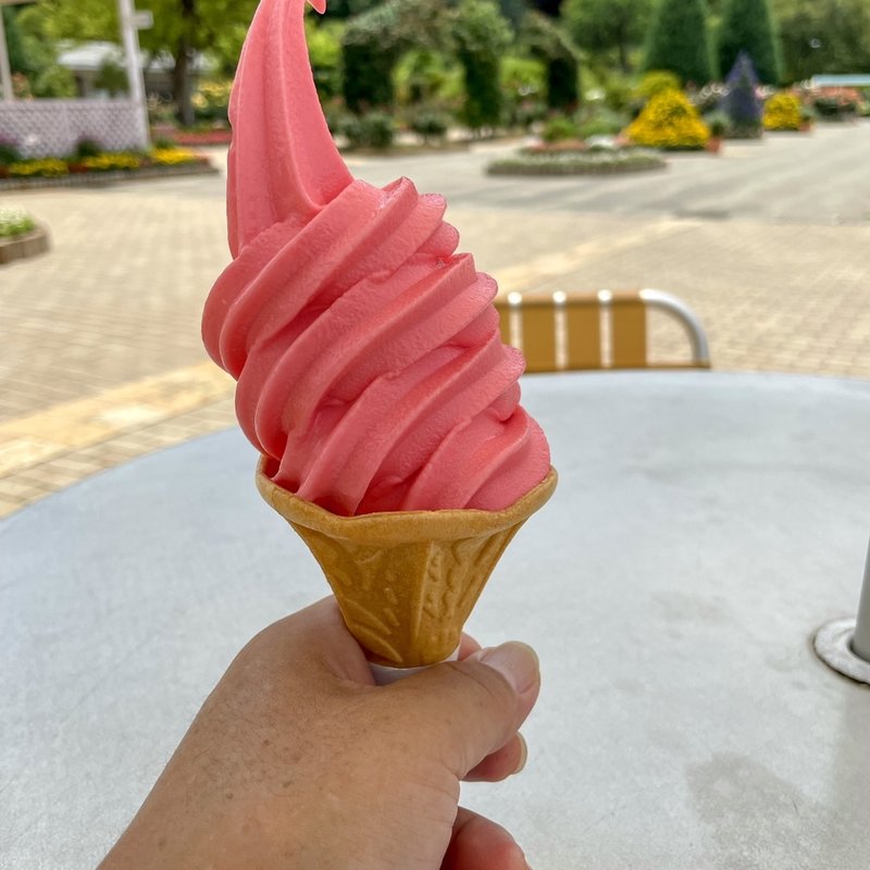 バラソフト(あしかがフラワーパーク)