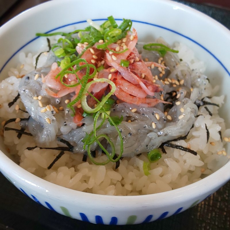 刺身しらすと生桜海老丼(なか卯 津島金柳店 )