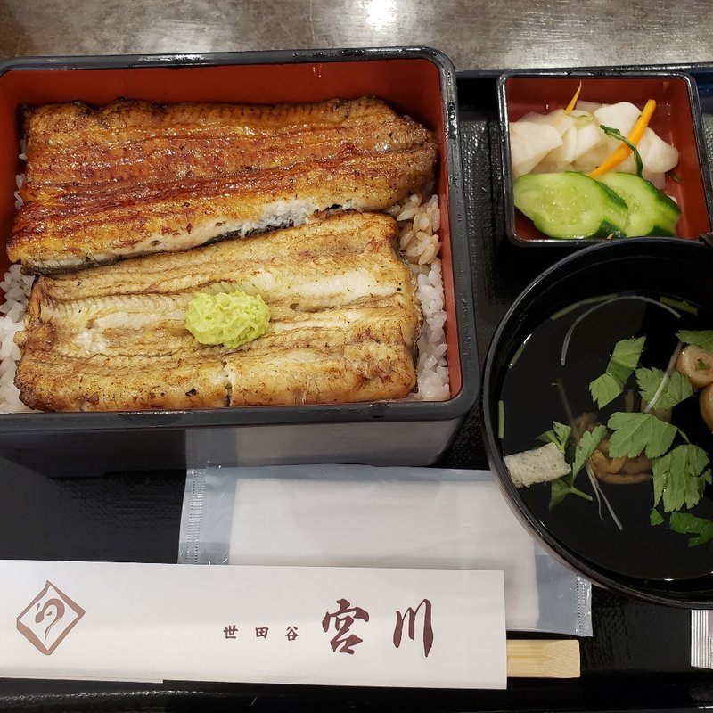 二色鰻重(世田谷 宮川 ららぽーと横浜店)