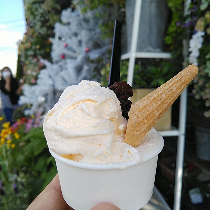 ピッコロサイズ(ジェラテリア ディ ノンナ)