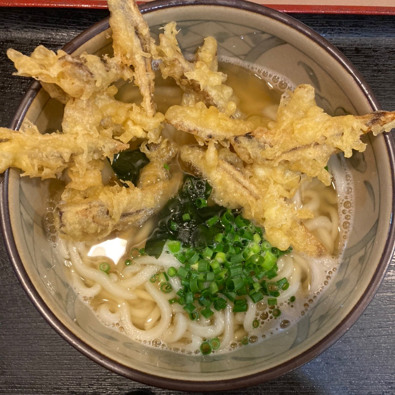 ごぼう天うどん(麺工房桃)