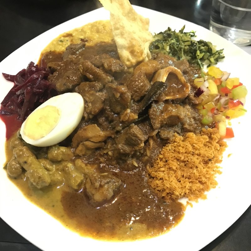 ギャミラサ 猪(ロッダグループ （RODDA group）)