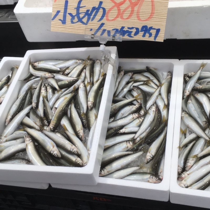 鮮魚(バロー　鮮魚コーナー)
