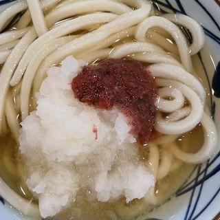 梅おろし冷ぶっかけうどん(丸亀製麺尼崎神田中通)