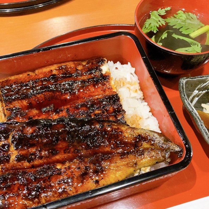 うな重（上）(うなぎます多)